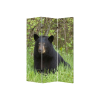48" X 72" Multi Color Wood Canvas Bear  Screen