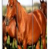48" X 72" Multi Color Wood Canvas Horse  Screen