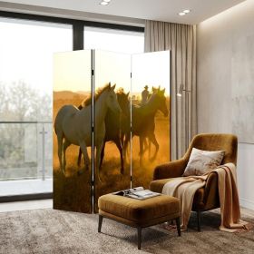 48" X 72" Multi Color Wood Canvas Round Up  Screen