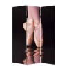 48" X 72" Multi Color Wood Canvas Ballet  Screen