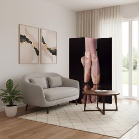 48" X 72" Multi Color Wood Canvas Ballet  Screen