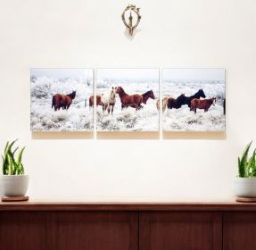 24" Multicolor Canvas 3 Horizontal Panels Horses Photo