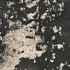 7' X 10'  Polyester Silver Charcoal Area Rug