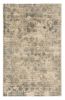 5' X 7'  Viscose Sand Or  Blue Area Rug