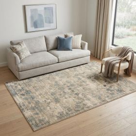 5' X 7'  Viscose Sand Or  Blue Area Rug