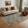 5' X 7' Blue and Red Floral Medallion Hand Woven Area Rug
