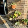 Elegant Black Metal 4-Shelf Plant Stand