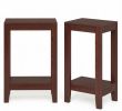 Set of 2 Versatile 2-Tier End Tables with Storage Shelf Living Room Sofa Side Table Bedroom Nightstand Furniture