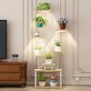 Plant Stand with Grow Lights, 62" Tall Plant Shelf, Lighted Corner Plant Stands for Indoor Growing, 8 Tiered Large Flower Holder
