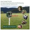 Other Training Supplies with Easy to Install