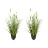 Artificial Grass Plant, 2 Pack 35 inch Cattail Grass in Pot