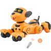 Remote Control Robot Dog Toy, 2.4GHz RC Dog Programmable Smart Interactive Robotic Pet for Kids with Follow Function, Touch & Voice Control