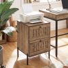 Nightstand Mid Century Modern End Table with Storage Drawers