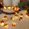 Decorative Fairy Acorn String Lights Thanksgiving Decoration Autumn Garland Cute Novelty Lights 30 LEDs 10 ft Battery Operated for Bedroom Wedding Bir