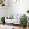 Artificial Plant/Green plants