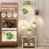 Plant Stand with Grow Lights, 62" Tall Plant Shelf, Lighted Corner Plant Stands for Indoor Growing, 8 Tiered Large Flower Holder