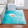 1pc Fluffy Imitation Wool Area Rug, Suede Fleece Bottom Long Imitation Wool Rug, Acrylic 80% Polyester 20%, 2.36inch Long Wool, Living Room Bedroom R