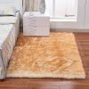 1pc Fluffy Imitation Wool Area Rug, Suede Fleece Bottom Long Imitation Wool Rug, Acrylic 80% Polyester 20%, 2.36inch Long Wool, Living Room Bedroom R