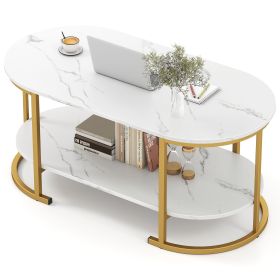 Marble Coffee Table with Open Storage Shelf (Color: White)