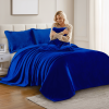 Heavyweight Crystal Velvet Blanket, 71" x 87" Ultra Soft Plush Bed Throw for Couch & Sofa, Reversible Sherpa Fleece & Double-Sided Warm Velvet Blanket
