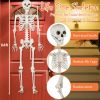 5.4 FT Halloween Skeleton Decoration Life Size Large Skeleton