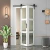Bi-Fold Sliding Barn Door, 3-Lite Tempered Frosted Glass Closet Door, 3.3 FT Sliding Door Hardware Kit, Pre-Drilled for Easy Assembly