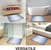 Bathroom Rug Mat 30x20, Extra Soft and Absorbent Microfiber Bath Rugs, Non-Slip Plush Shaggy Bath Carpet, Machine Wash Dry
